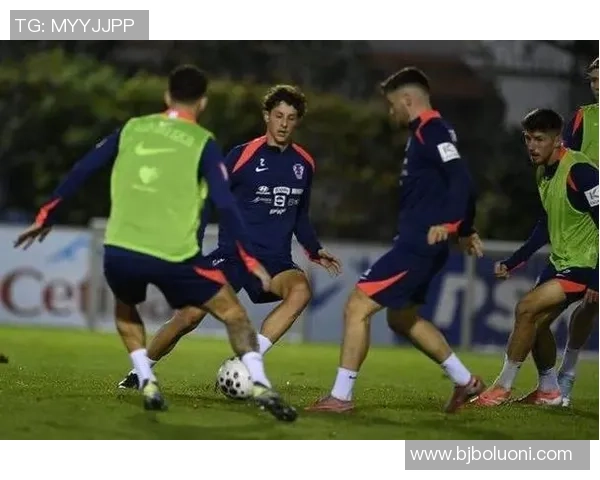 圣马力诺与捷克足球比赛结果分析及精彩瞬间回顾