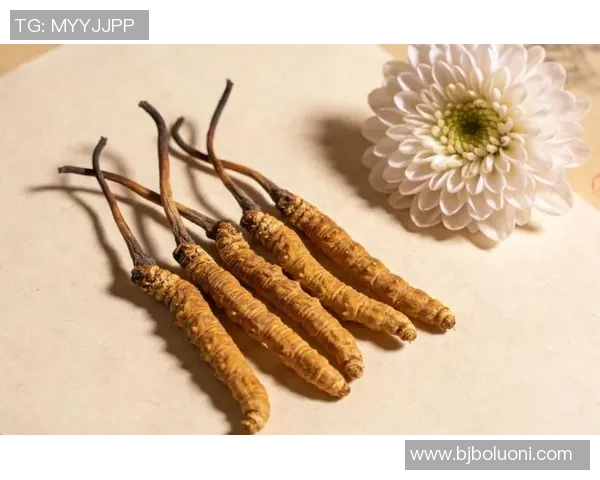 权威发布：2023年英雄联盟意识实力榜单全面解析与选手排名分析